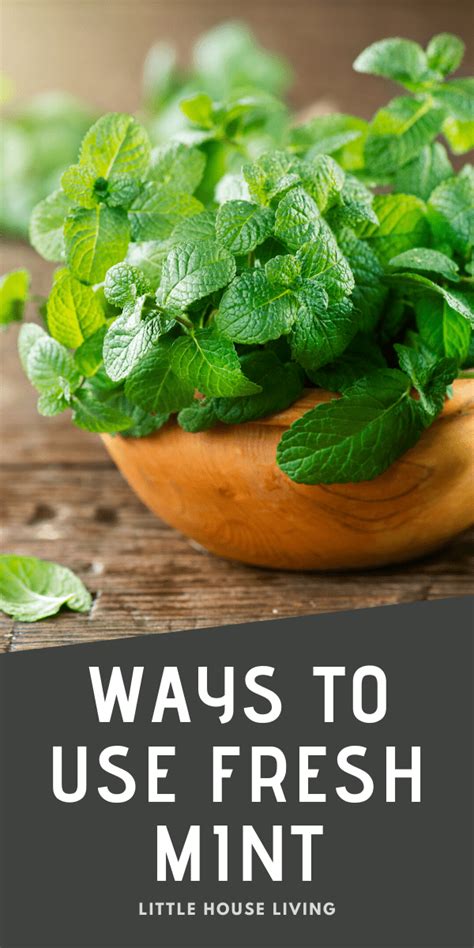 The Sensational Scent of Mint: Incorporating Fresh Herbs into Home Fragrance